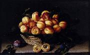 Louise Moillon Basket of Apricots oil on canvas
